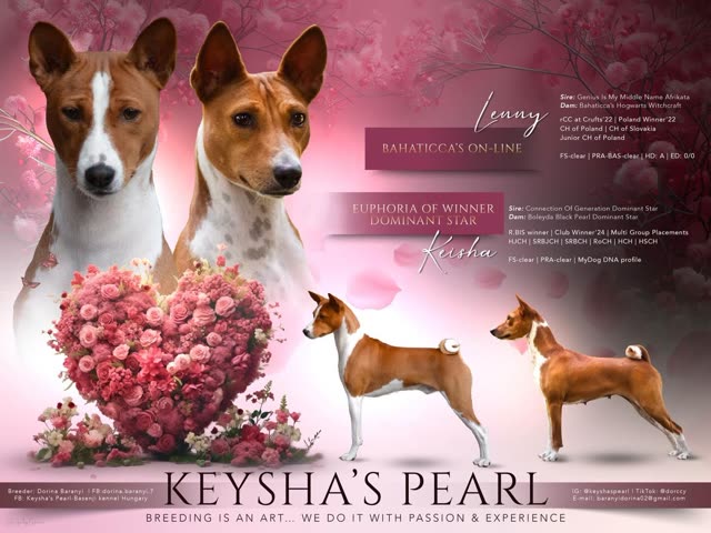 Keysha's Pearl Nico