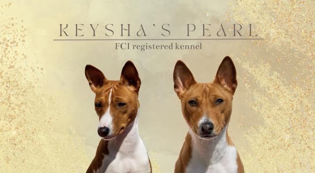 Keysha's Pearl Nico
